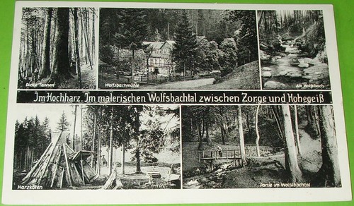 Hohegeiß zorge 1950 - ak,