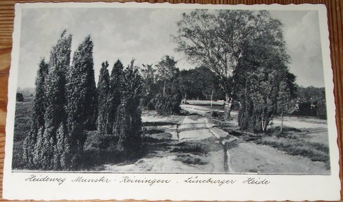 1933 reiningen reddingen - 1933:,