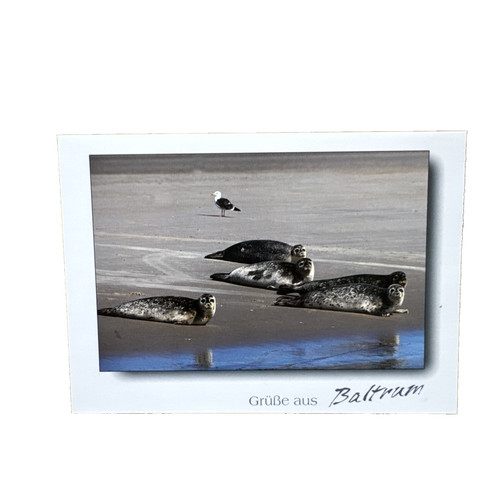 Ansichtskarte postkarte - ansichtskarte,